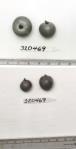 Click for 1 image(s) for this accession. FRUIT